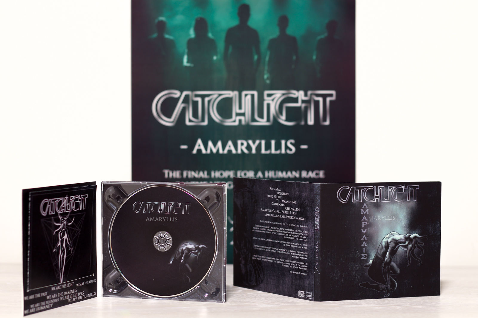 Catchlight - Amaryllis
